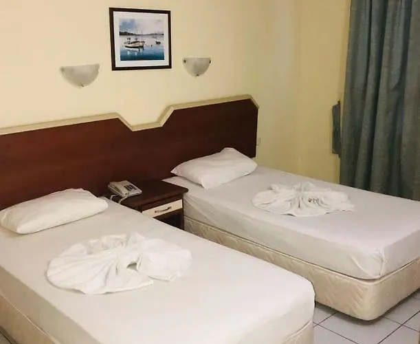 Moy Apart * אלאניה